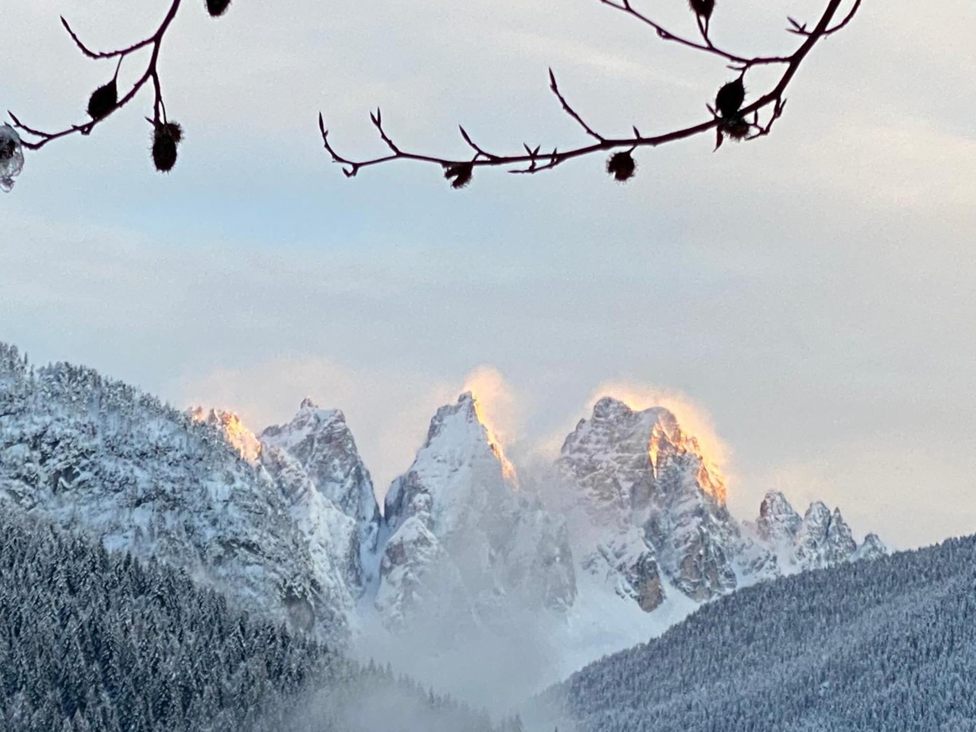 Fra Rose E Mughi Bed and Breakfast Domegge di Cadore Exteriör bild