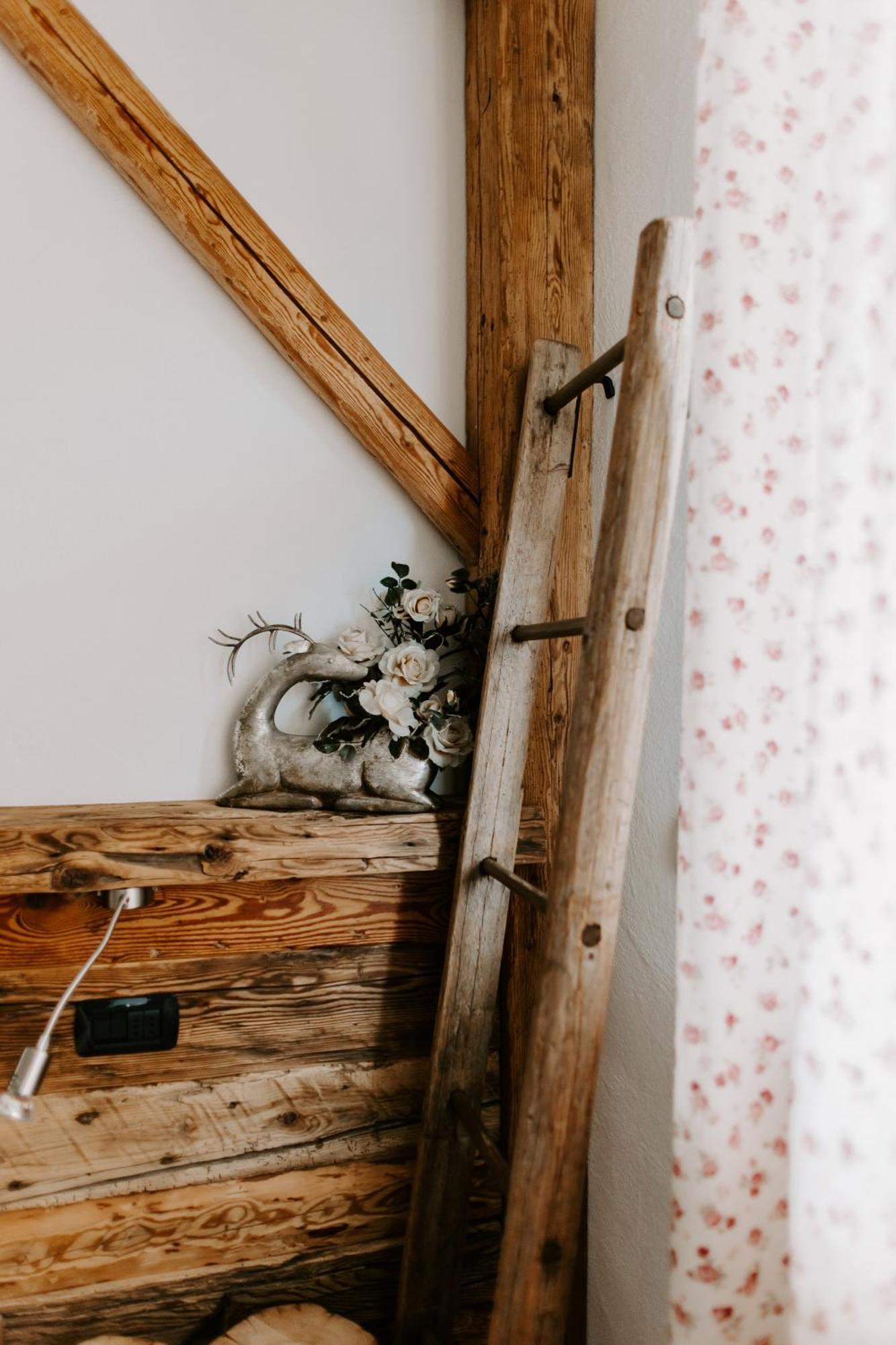 Fra Rose E Mughi Bed and Breakfast Domegge di Cadore Exteriör bild
