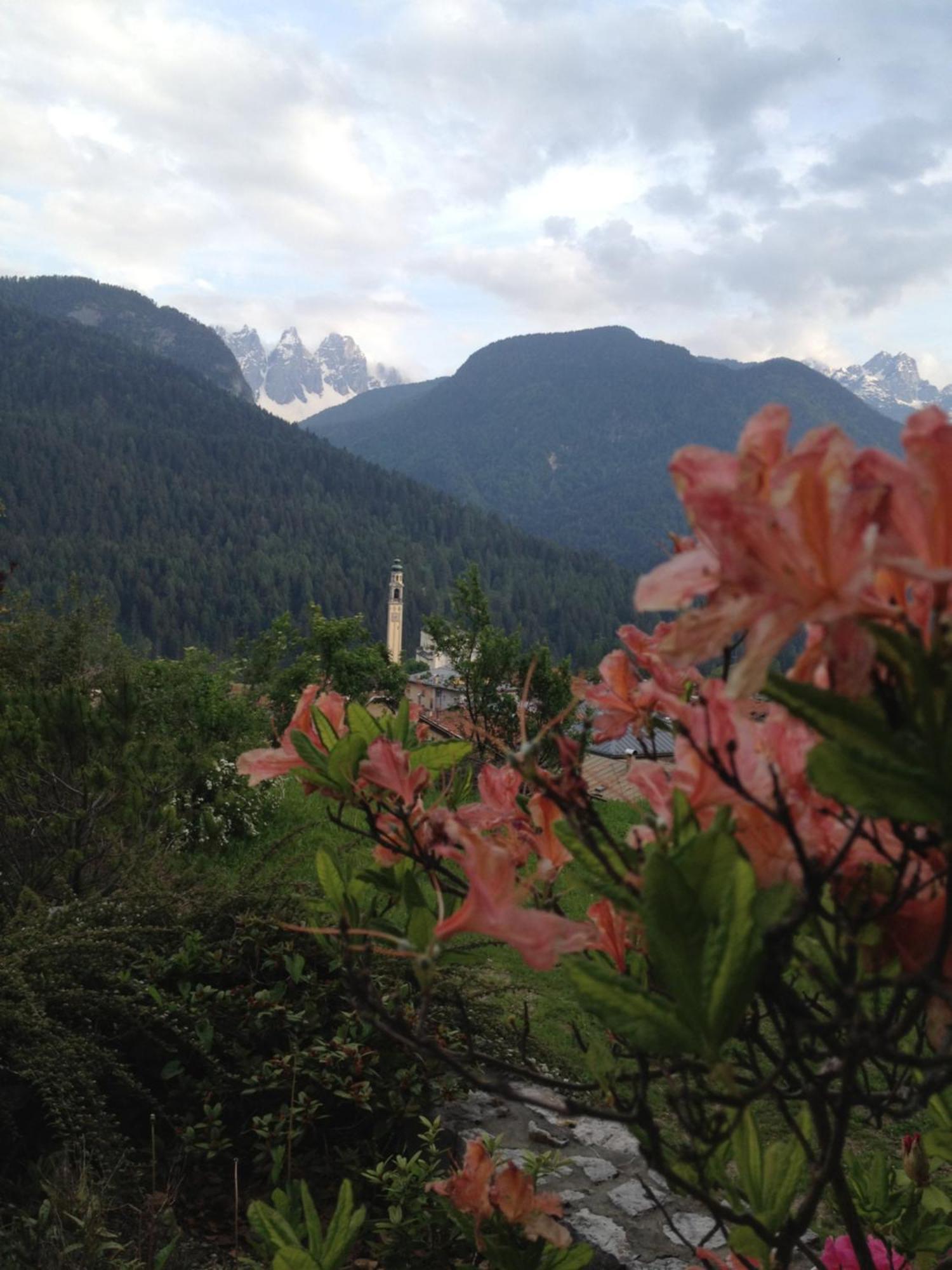 Fra Rose E Mughi Bed and Breakfast Domegge di Cadore Exteriör bild