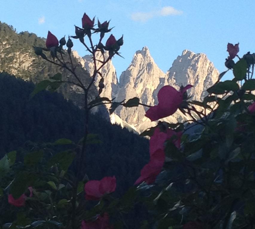 Fra Rose E Mughi Bed and Breakfast Domegge di Cadore Exteriör bild
